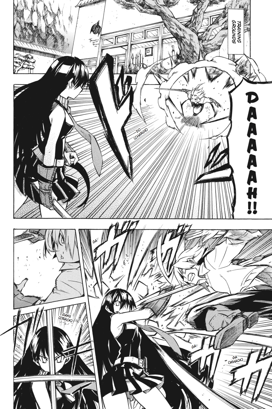 Read Akame Ga Kill! En Manga Online