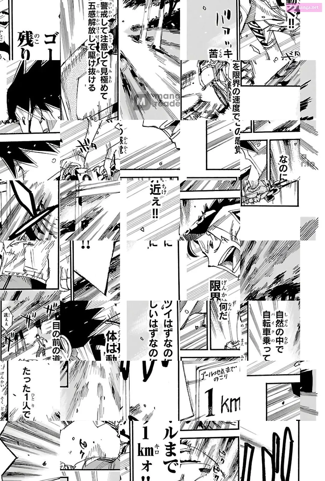 Read Yowamushi Pedal En Manga Online